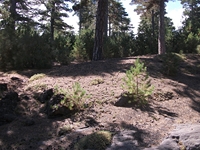 rrente Quarantore-20110911 058